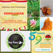 Bangga temulawak menjadi obat bahan alam. Semoga banyak tanaman herbal Indonesia yang menjadi obat bahan alam. 
. 
Mari kita dukung agar tanamah herbal menjadi obat bahan alam di Indonesia. 

#temulawak#jamu#jamiindonesia#ingpawon